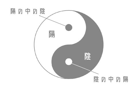 太極陰陽|陰陽論から読み解く太極の本質【陰陽論①】 